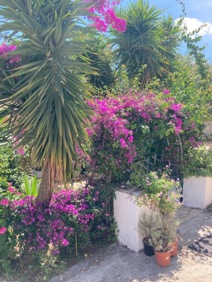 Aliki'S Comfortable Holiday Apartments-Great Location Nisaki  Exterior foto